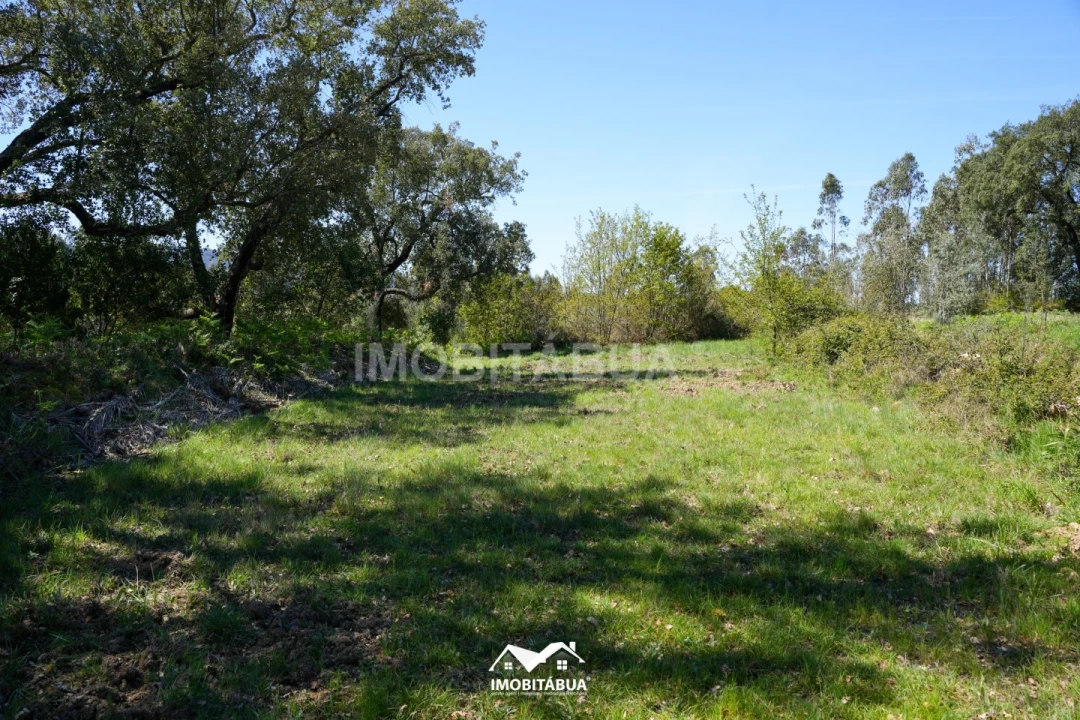 Terreno para Venda em São Martinho da Cortiça Foto 15