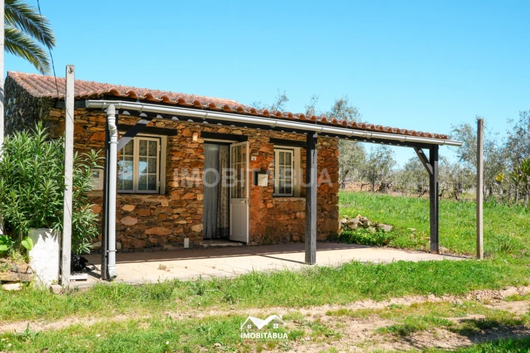 Terreno para Venda em São Martinho da Cortiça
