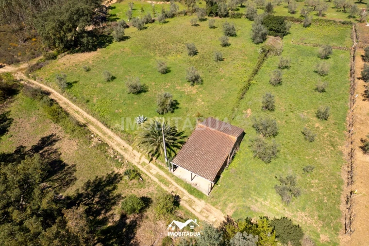 Terreno para Venda em São Martinho da Cortiça Foto 11