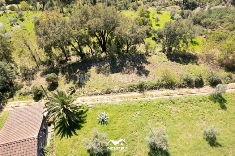 Terreno para Venda em São Martinho da Cortiça Foto 12