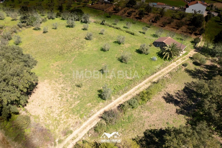 Terreno para Venda em São Martinho da Cortiça Foto 13