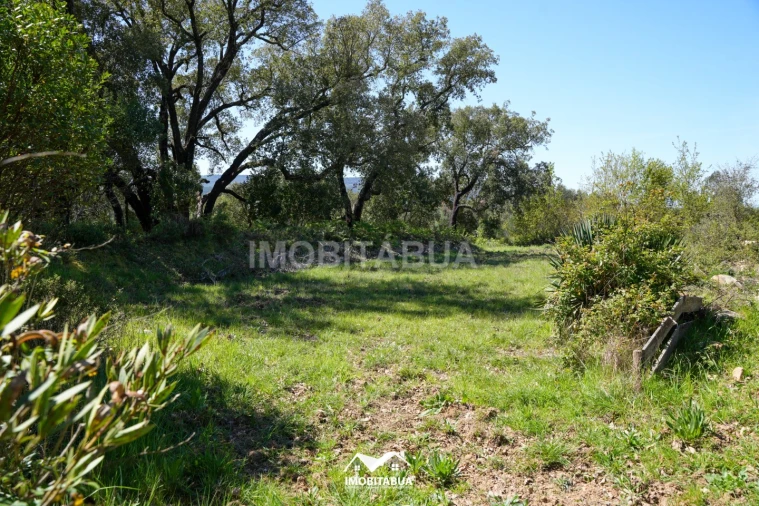 Terreno para Venda em São Martinho da Cortiça Foto 14