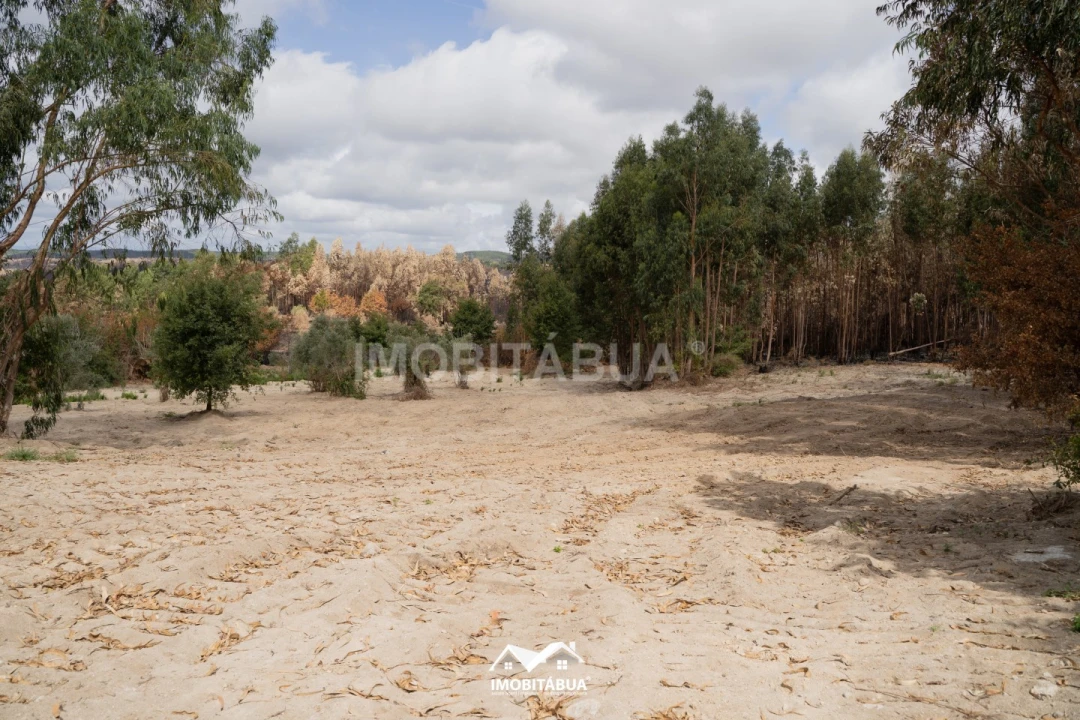Terreno Agricola ou Rústico para Venda em Vila Cova de Alva e Anseriz Foto 11