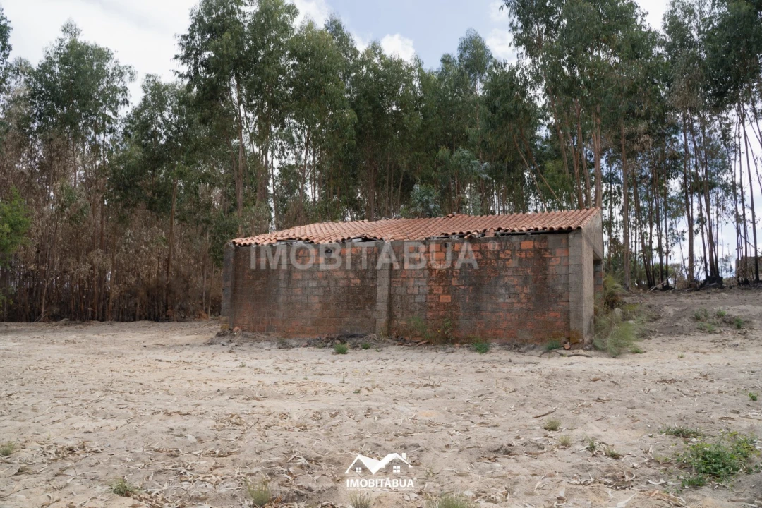 Terreno Agricola ou Rústico para Venda em Vila Cova de Alva e Anseriz Foto 13