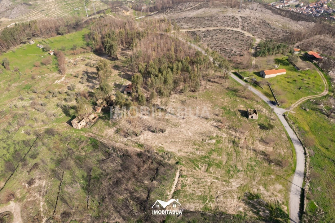 Terreno Agricola ou Rústico para Venda em Vila Cova de Alva e Anseriz Foto 5