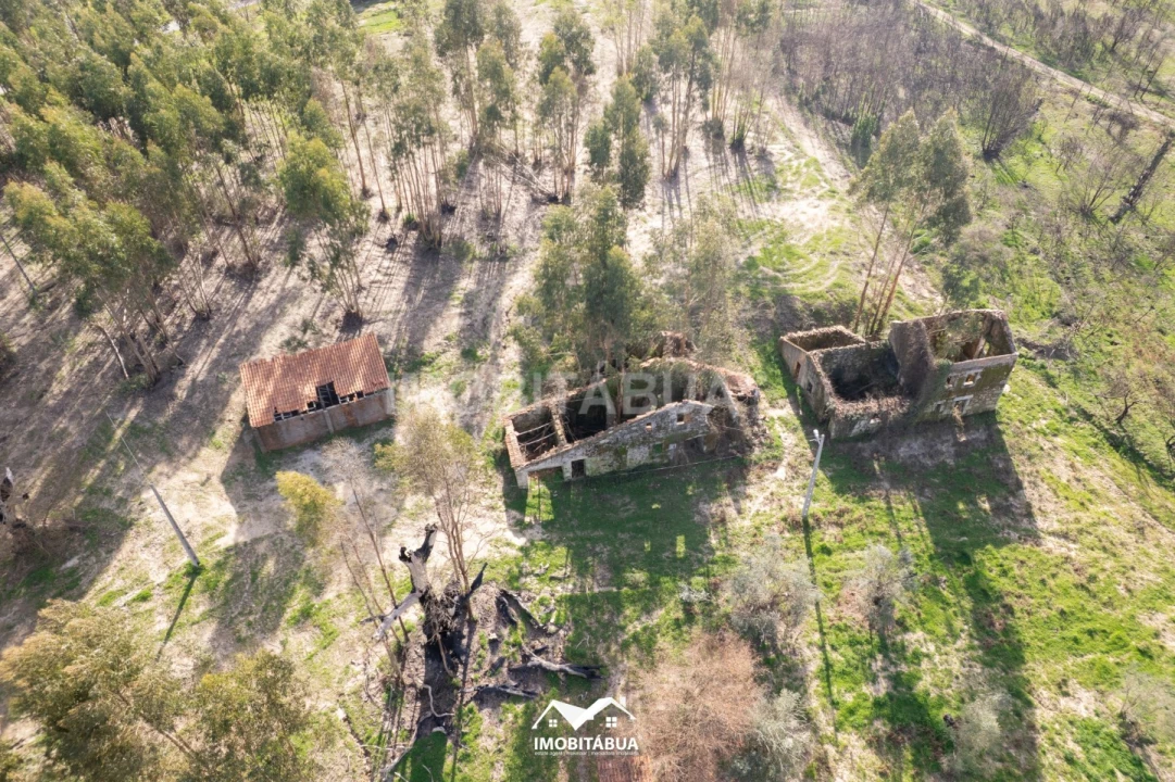 Terreno Agricola ou Rústico para Venda em Vila Cova de Alva e Anseriz Foto 17