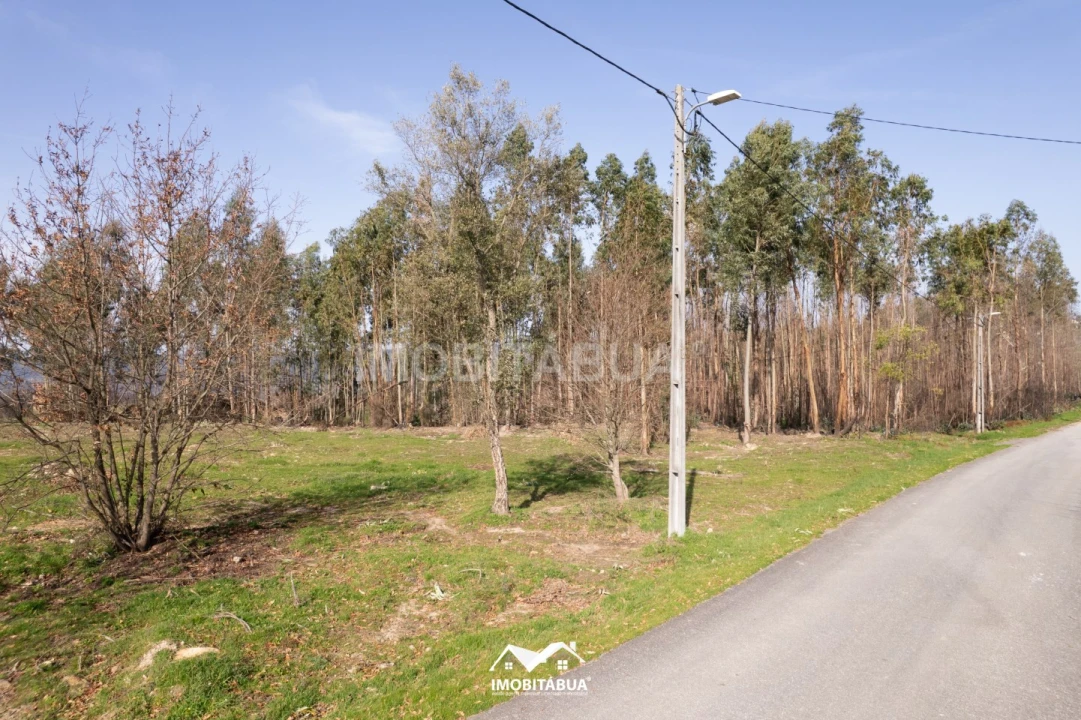 Terreno Agricola ou Rústico para Venda em Vila Cova de Alva e Anseriz Foto 18