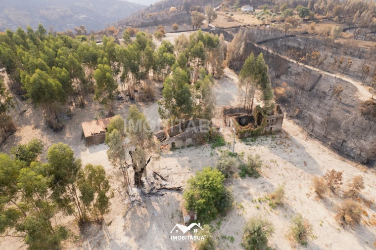 Terreno Agricola ou Rústico para Venda em Vila Cova de Alva e Anseriz Foto 7