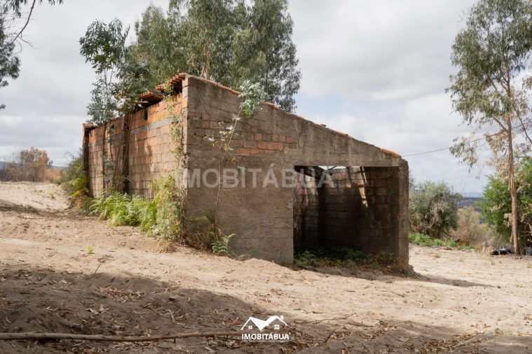 Terreno Agricola ou Rústico para Venda em Vila Cova de Alva e Anseriz Foto 8