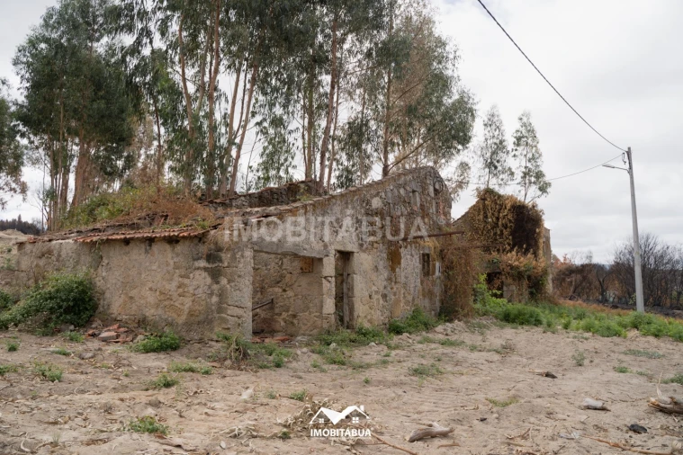 Terreno Agricola ou Rústico para Venda em Vila Cova de Alva e Anseriz Foto 10