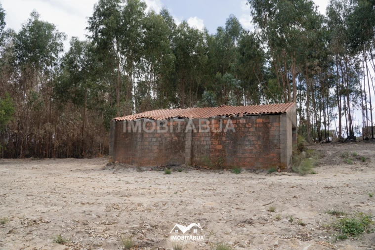 Terreno Agricola ou Rústico para Venda em Vila Cova de Alva e Anseriz Foto 13