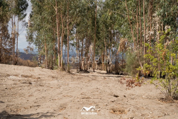 Terreno Agricola ou Rústico para Venda em Vila Cova de Alva e Anseriz Foto 14