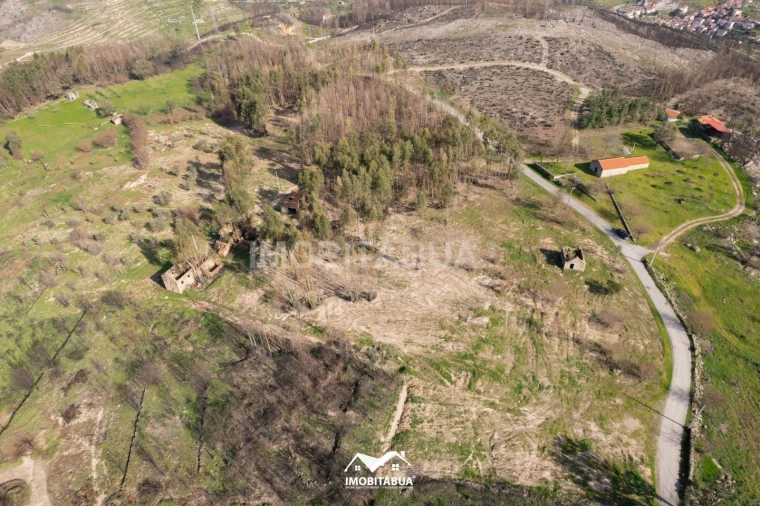 Terreno Agricola ou Rústico para Venda em Vila Cova de Alva e Anseriz Foto 5