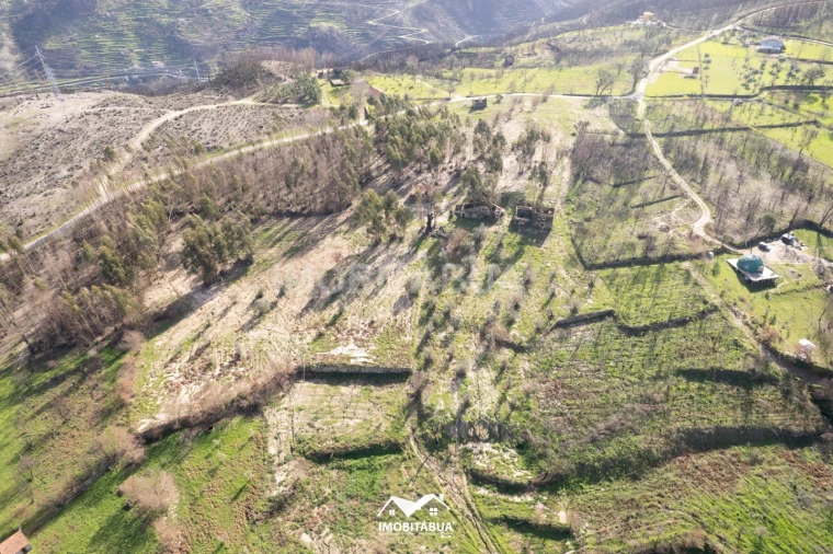 Terreno Agricola ou Rústico para Venda em Vila Cova de Alva e Anseriz Foto 6