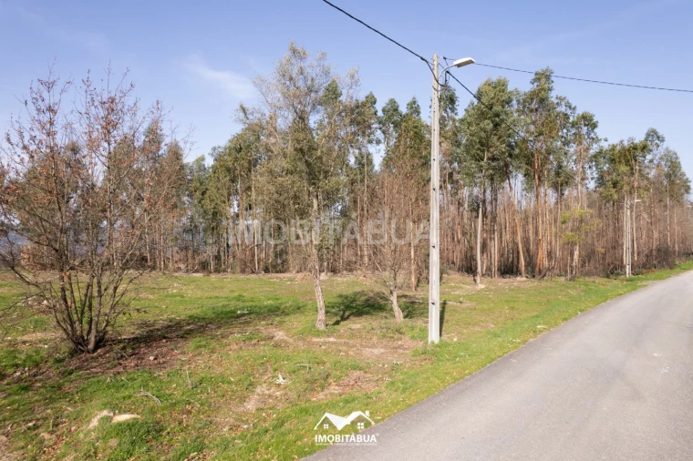 Terreno Agricola ou Rústico para Venda em Vila Cova de Alva e Anseriz Foto 18