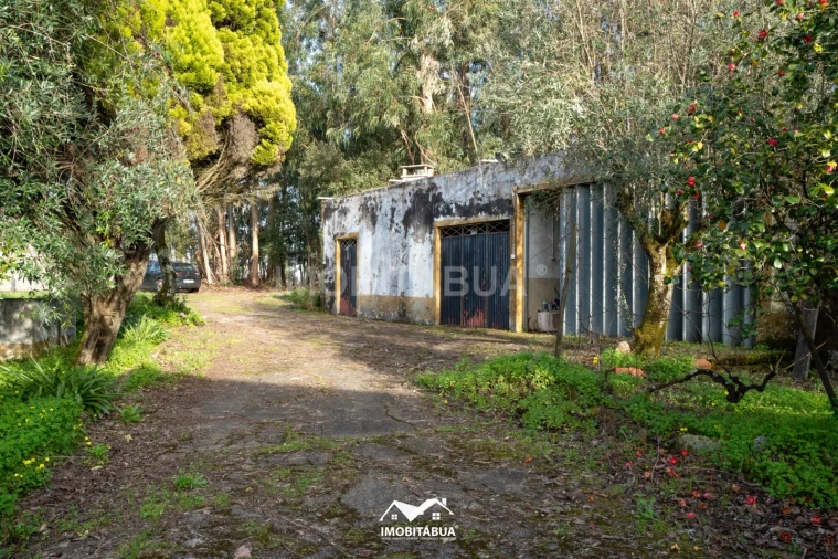 Quinta T3 para Venda em Currelos, Papízios e Sobral Foto 16