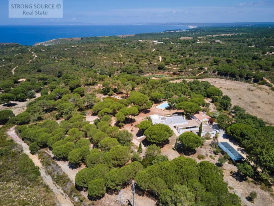 Quinta T7 para Venda em Sesimbra (Castelo) Foto 3