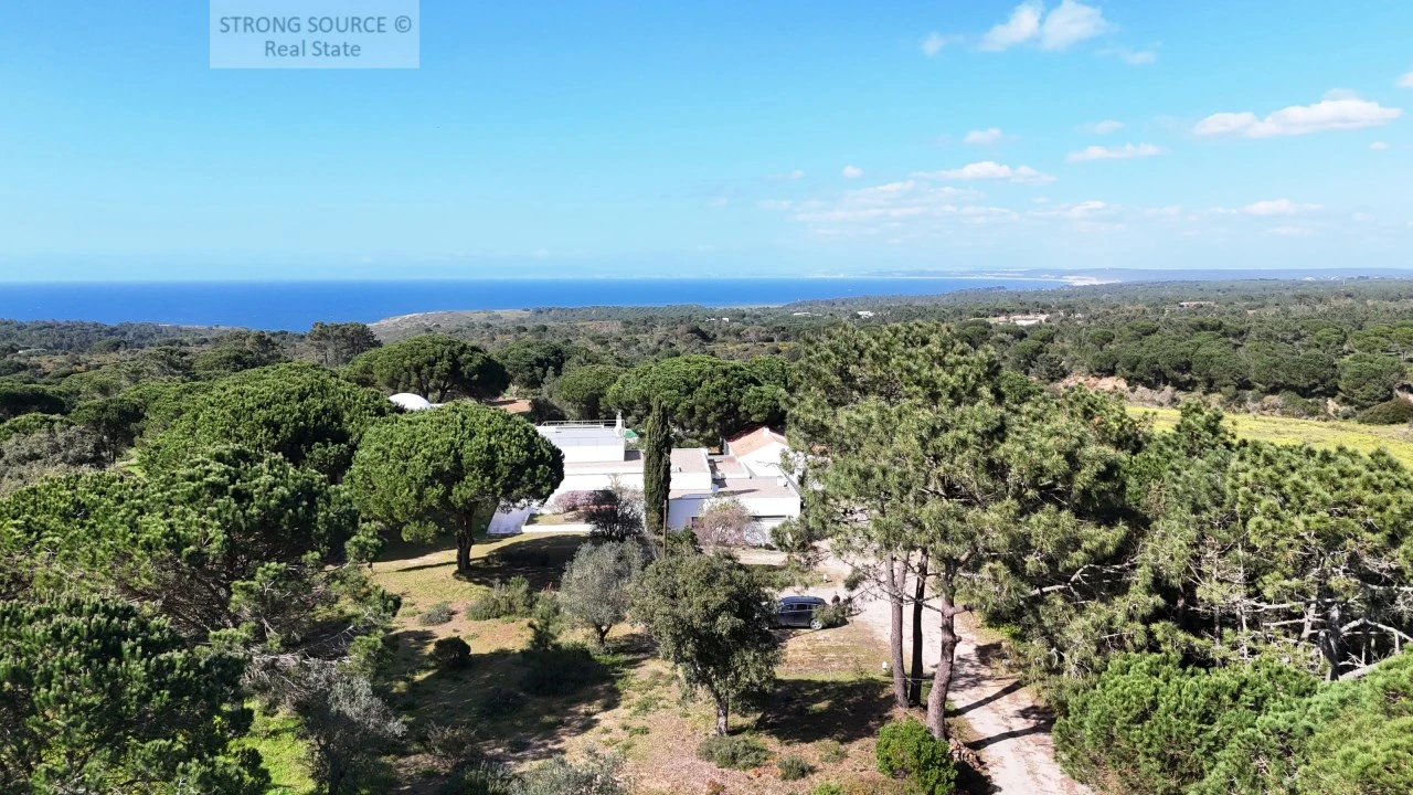 Quinta T7 para Venda em Sesimbra (Castelo) Foto 8