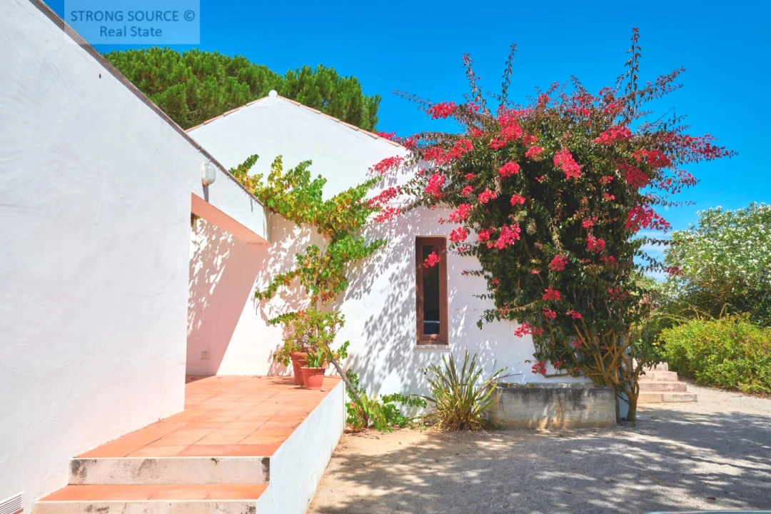 Quinta T7 para Venda em Sesimbra (Castelo) Foto 28