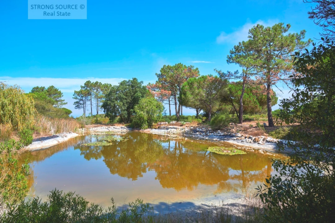Quinta T7 para Venda em Sesimbra (Castelo) Foto 32