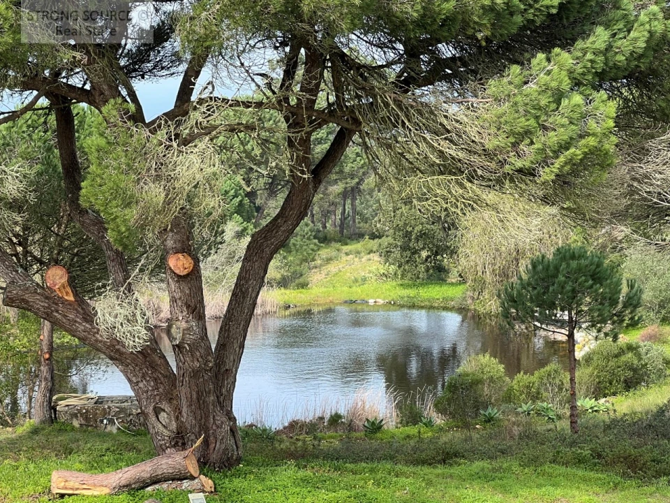 Quinta T7 para Venda em Sesimbra (Castelo) Foto 35