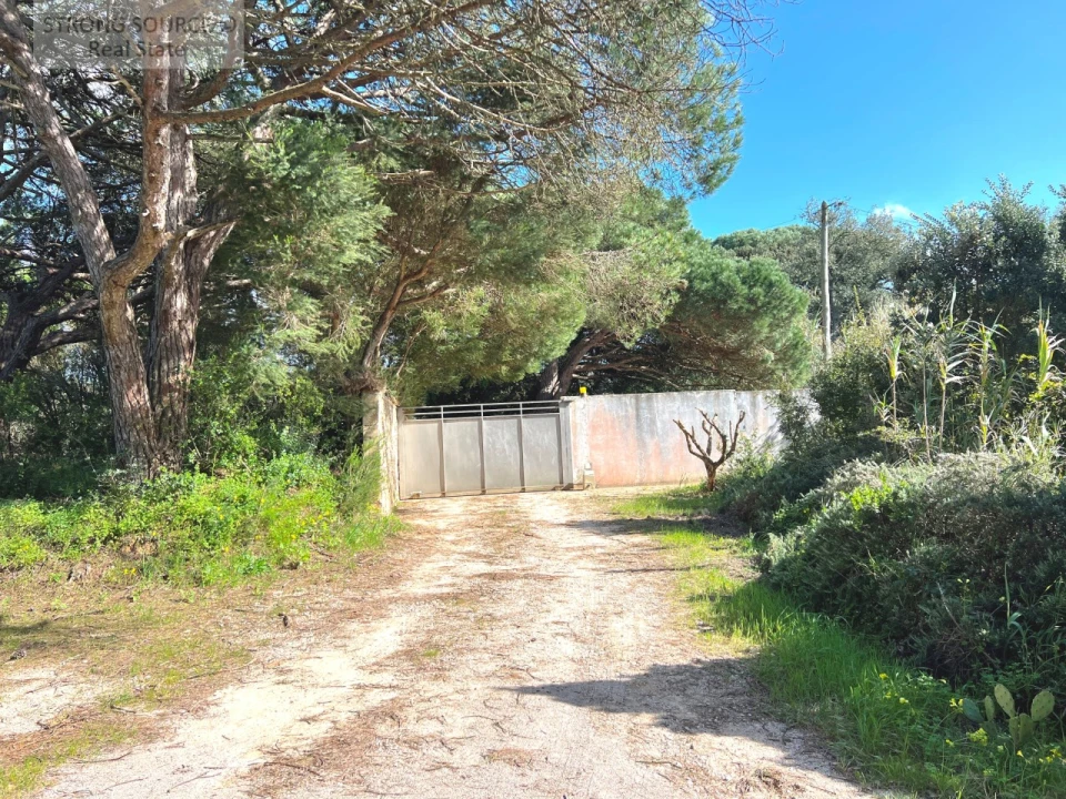 Quinta T7 para Venda em Sesimbra (Castelo) Foto 140