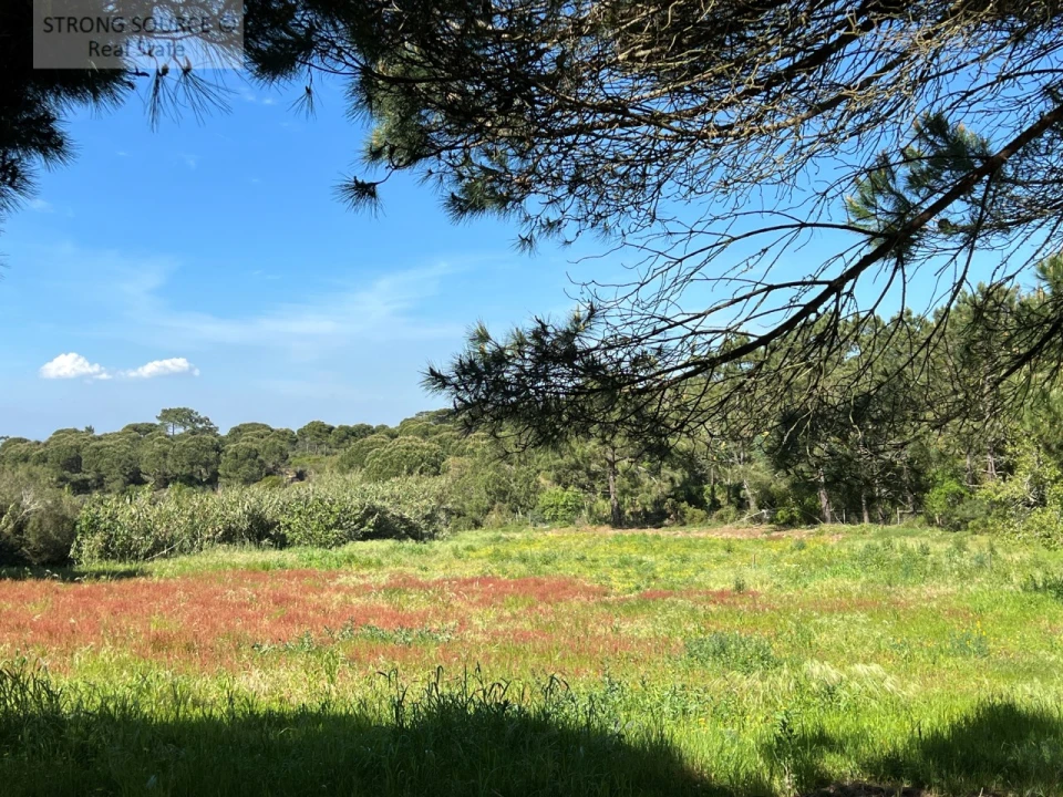 Quinta T8 para Venda em Sesimbra (Castelo) Foto 52