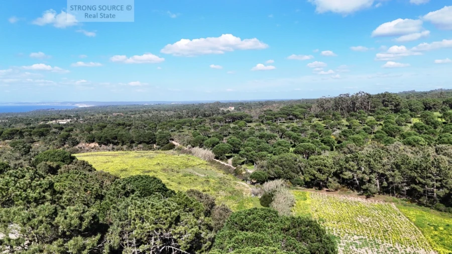 Quinta T7 para Venda em Sesimbra (Castelo) Foto 11