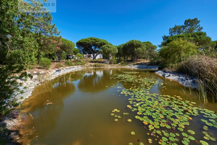 Quinta T7 para Venda em Sesimbra (Castelo) Foto 33