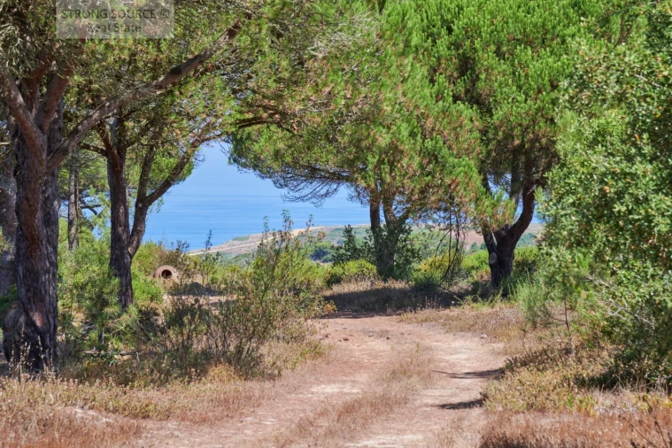Quinta T7 para Venda em Sesimbra (Castelo) Foto 38