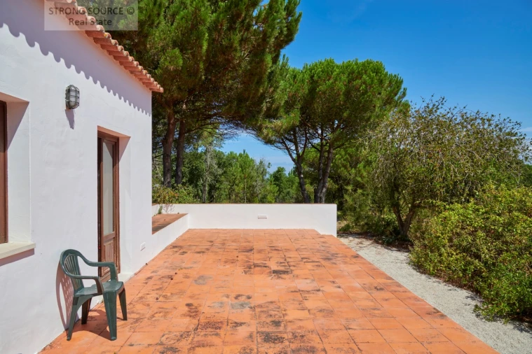 Quinta T7 para Venda em Sesimbra (Castelo) Foto 115