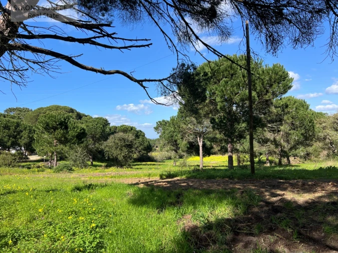 Quinta T7 para Venda em Sesimbra (Castelo) Foto 138