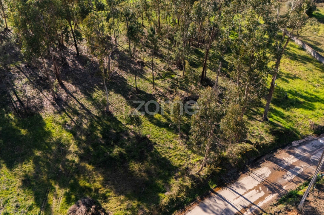 Terreno para Venda em Cervães Foto 2