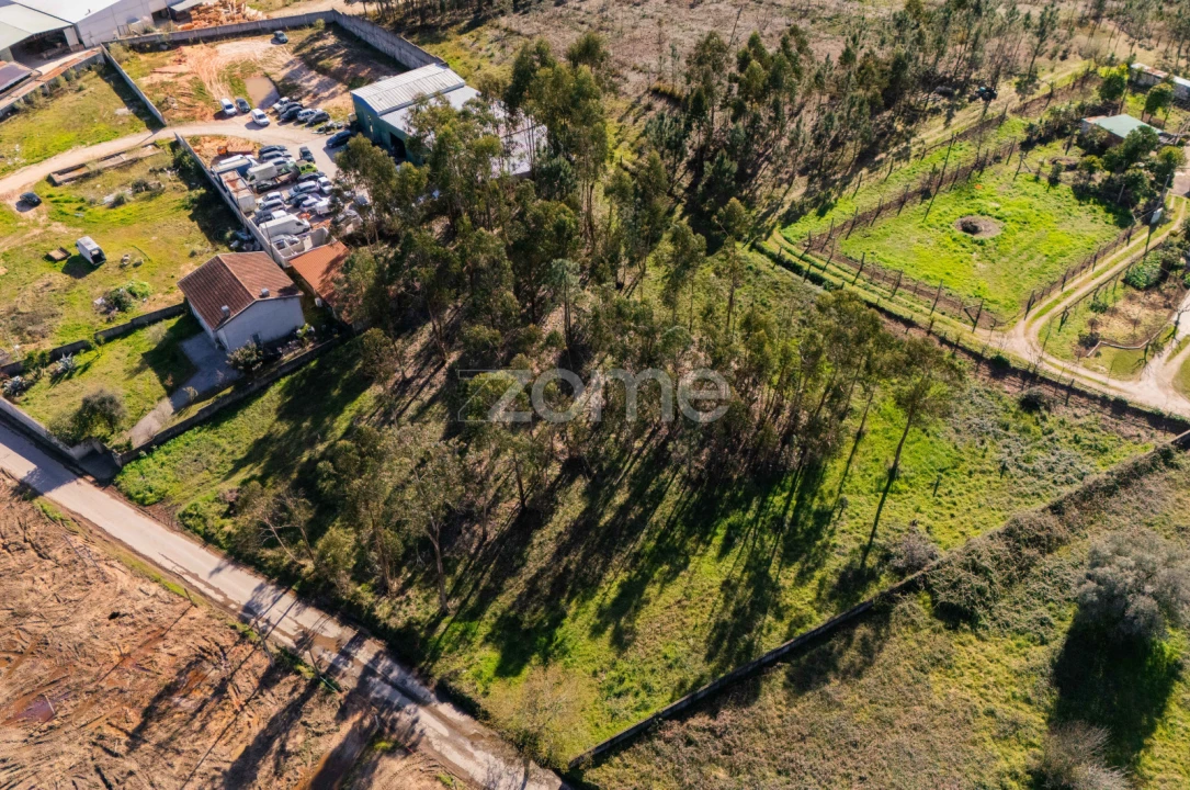 Terreno para Venda em Cervães Foto 3