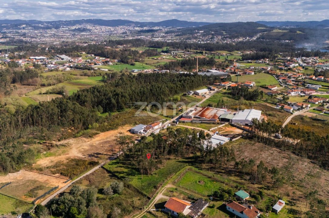 Terreno para Venda em Cervães Foto 4