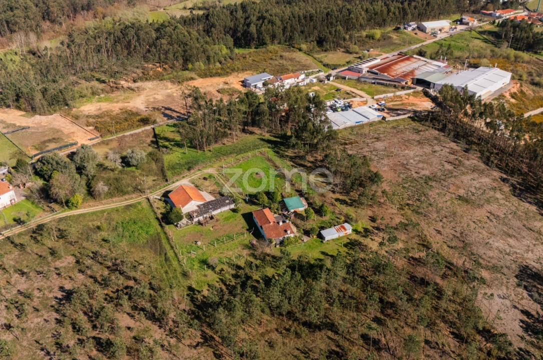 Terreno para Venda em Cervães Foto 5