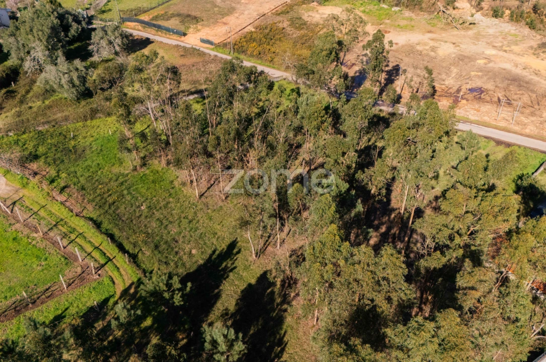 Terreno para Venda em Cervães Foto 6
