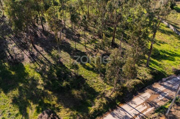 Terreno para Venda em Cervães Foto 2