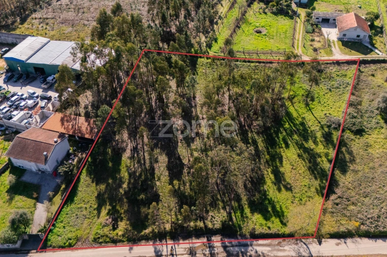 Terreno para Venda em Cervães Foto 1