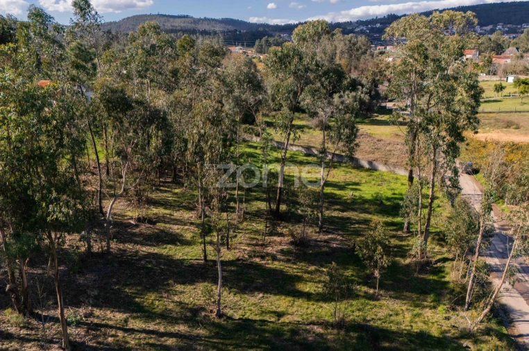 Terreno para Venda em Cervães Foto 8