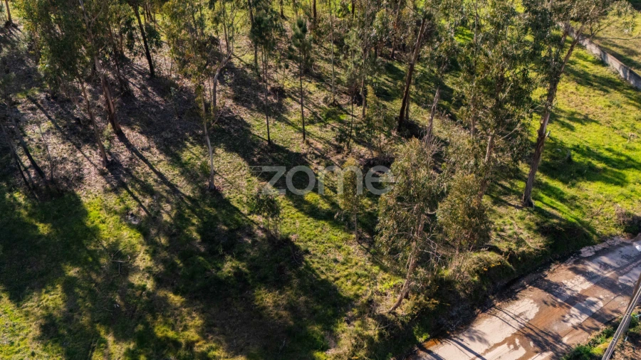 Terreno para Venda em Cervães
