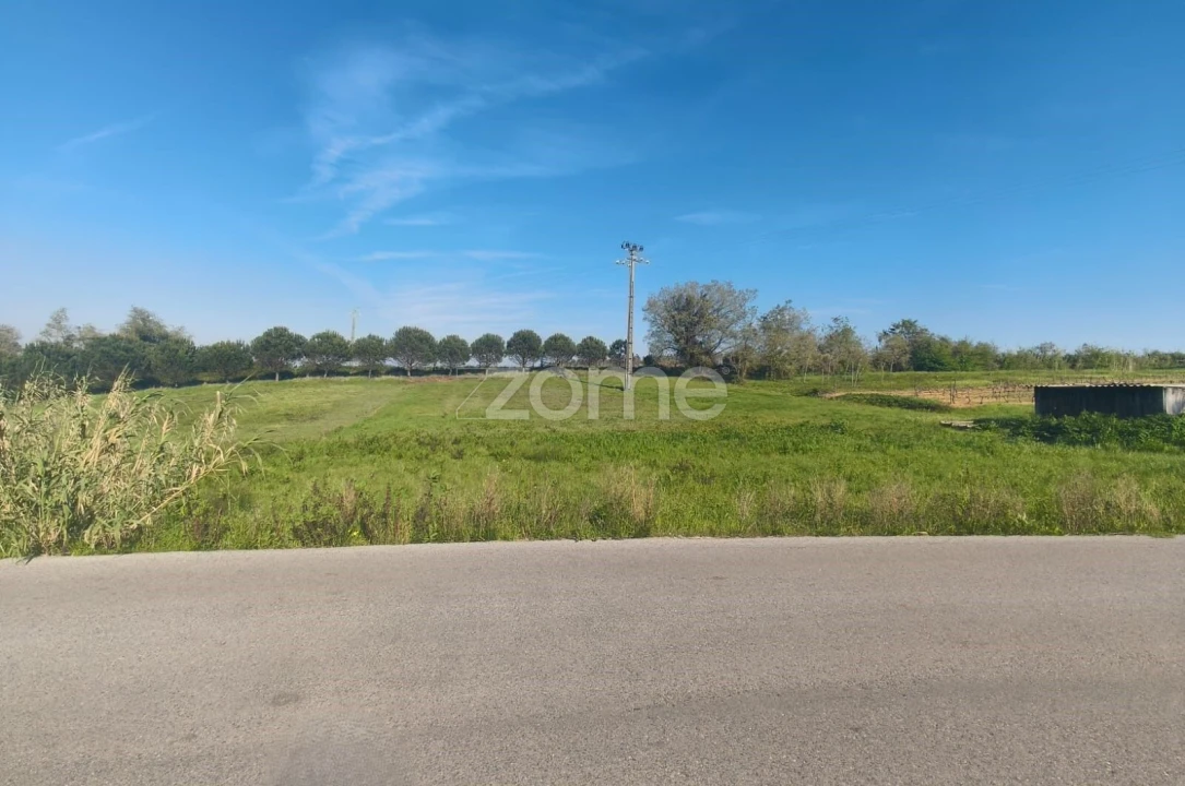 Terreno para Venda em Maceira Foto 5