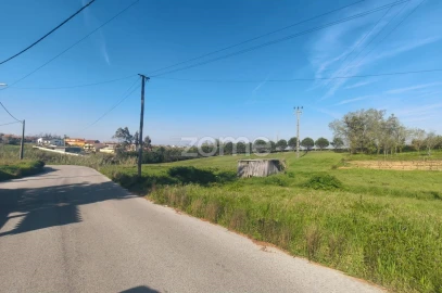 Terreno para Venda em Maceira