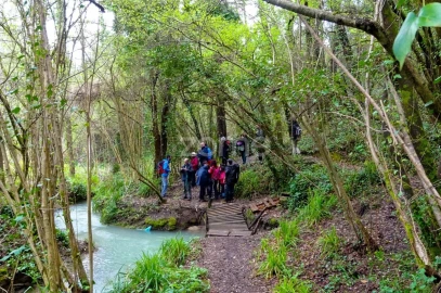 Terreno para Venda em Maceira