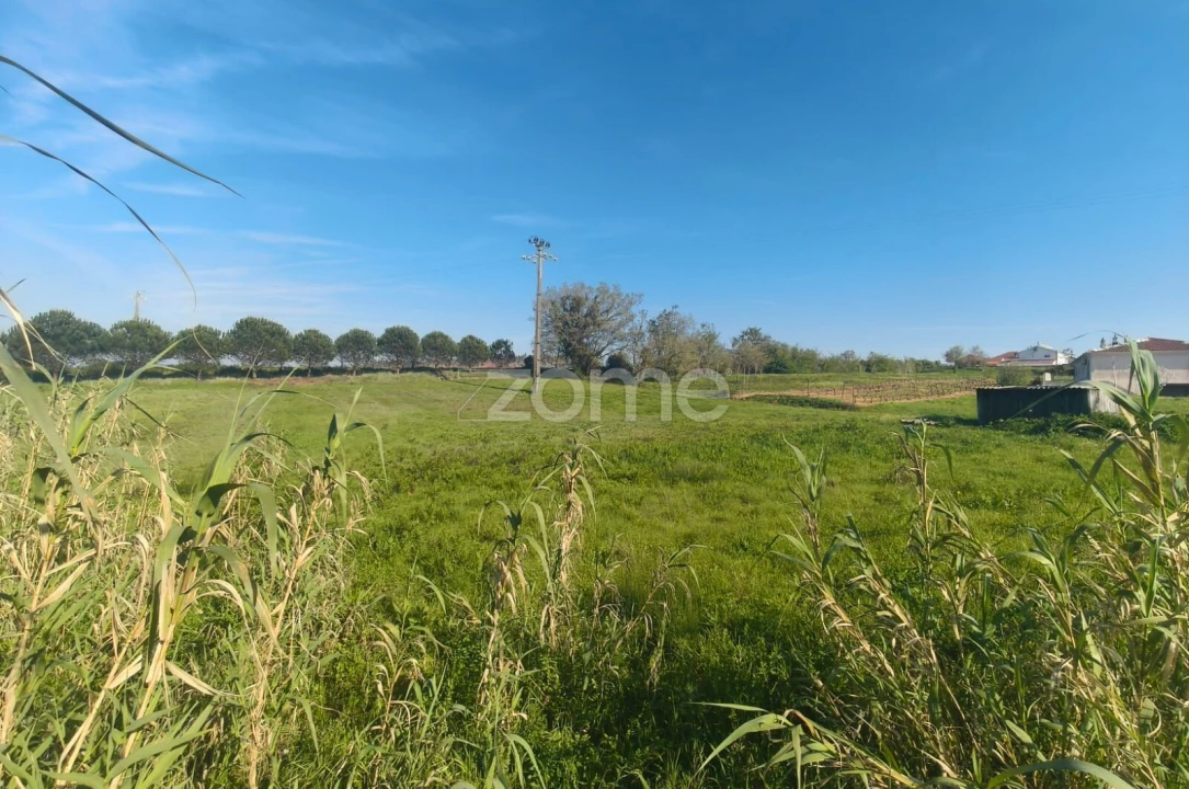 Terreno para Venda em Maceira Foto 8