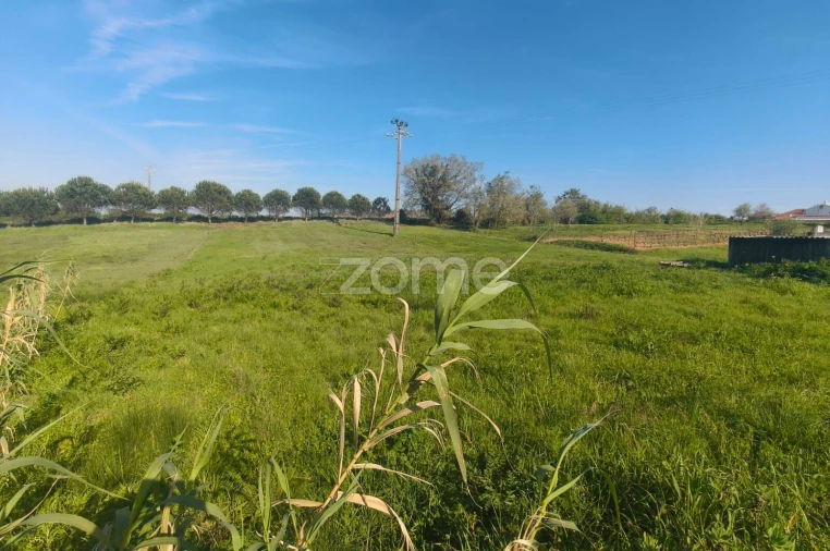 Terreno para Venda em Maceira Foto 6