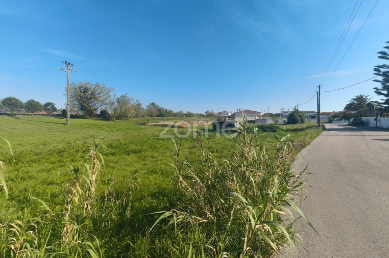 Terreno para Venda em Maceira Foto 9