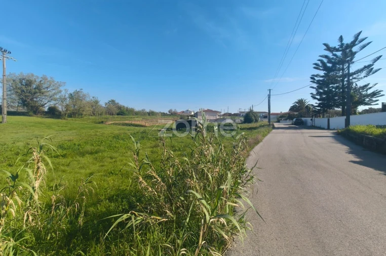 Terreno para Venda em Maceira Foto 7