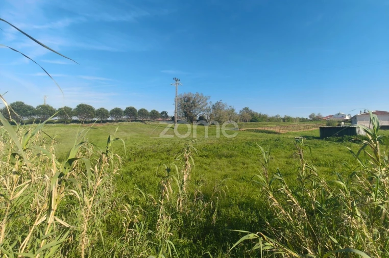 Terreno para Venda em Maceira Foto 8