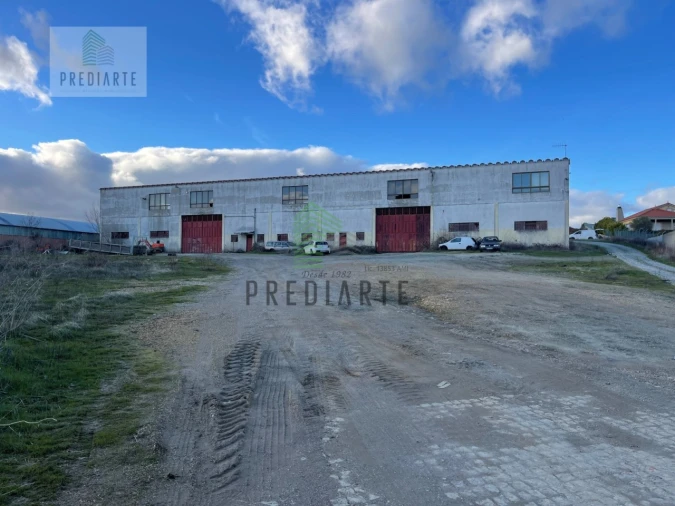 Terreno Comércio / Armazém para Venda em Samil Foto 3